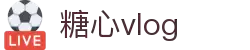 糖心vlog官网 - 记录生活美好时光